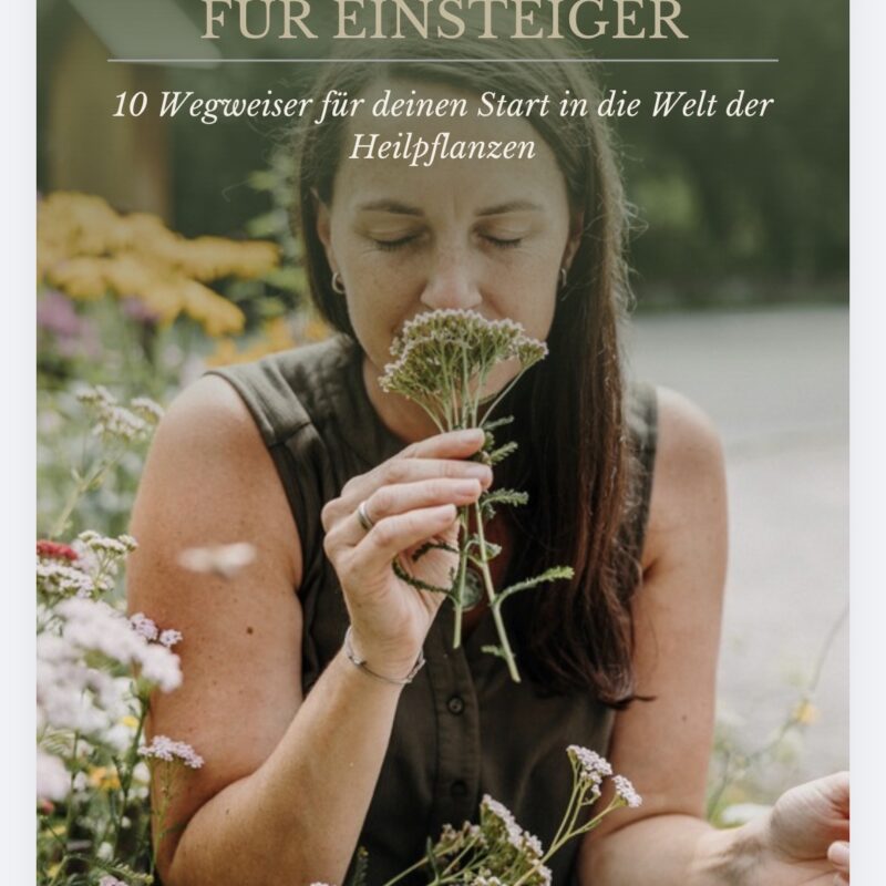 Kräuterkompass für Einsteiger