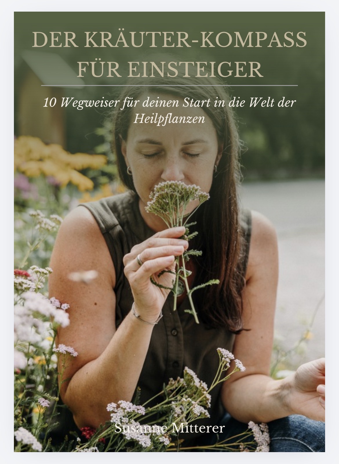Kräuterkompass für Einsteiger